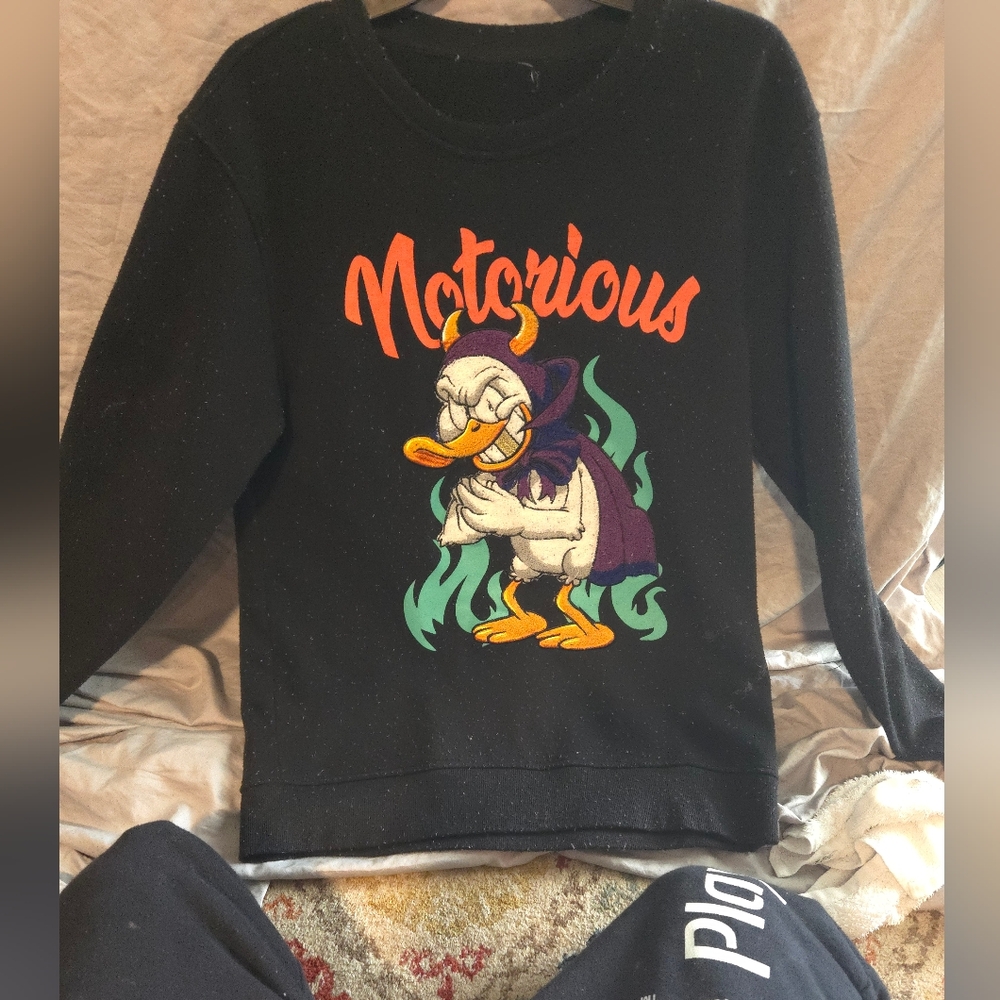Notorious duck sweater